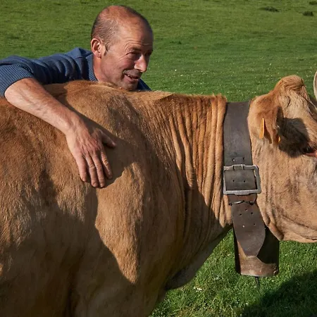 Gasthof La De Cucayo 3*