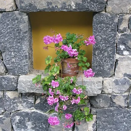 Inn La De Cucayo