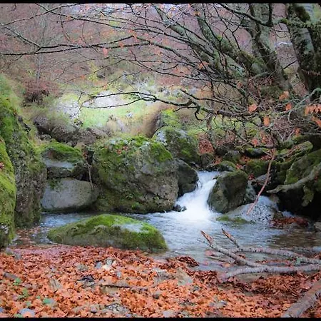 Inn La De Cucayo 3*