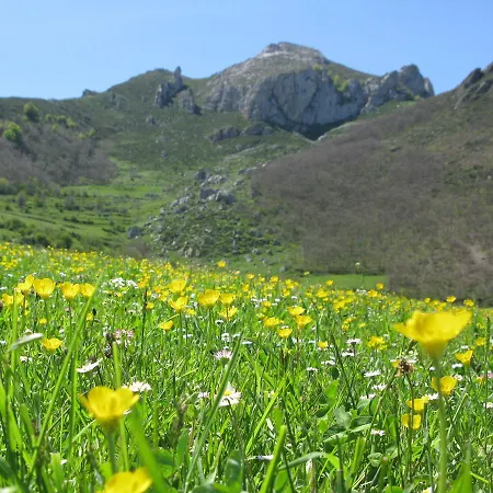 La De Cucayo