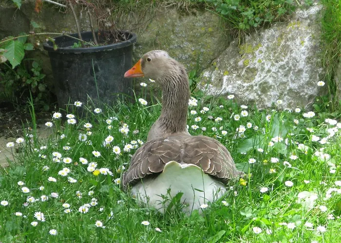 여관 La De Cucayo 3*